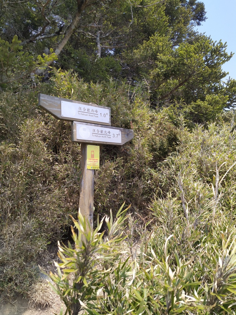 三岔路 branchroad