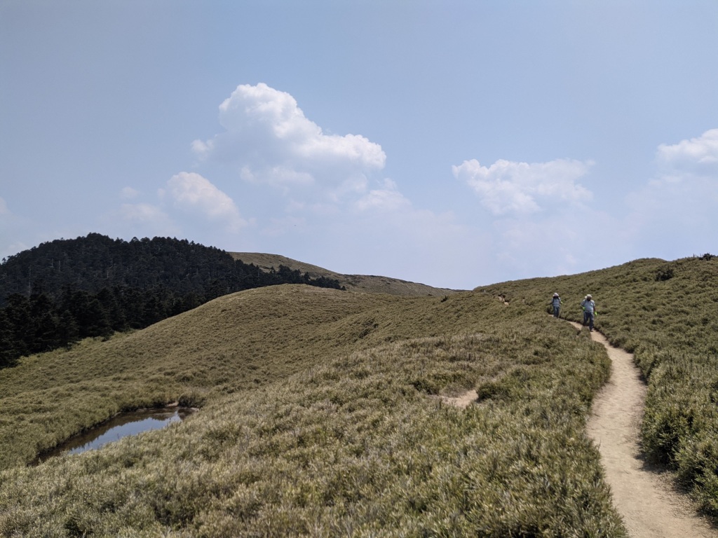 回程路上的小池塘