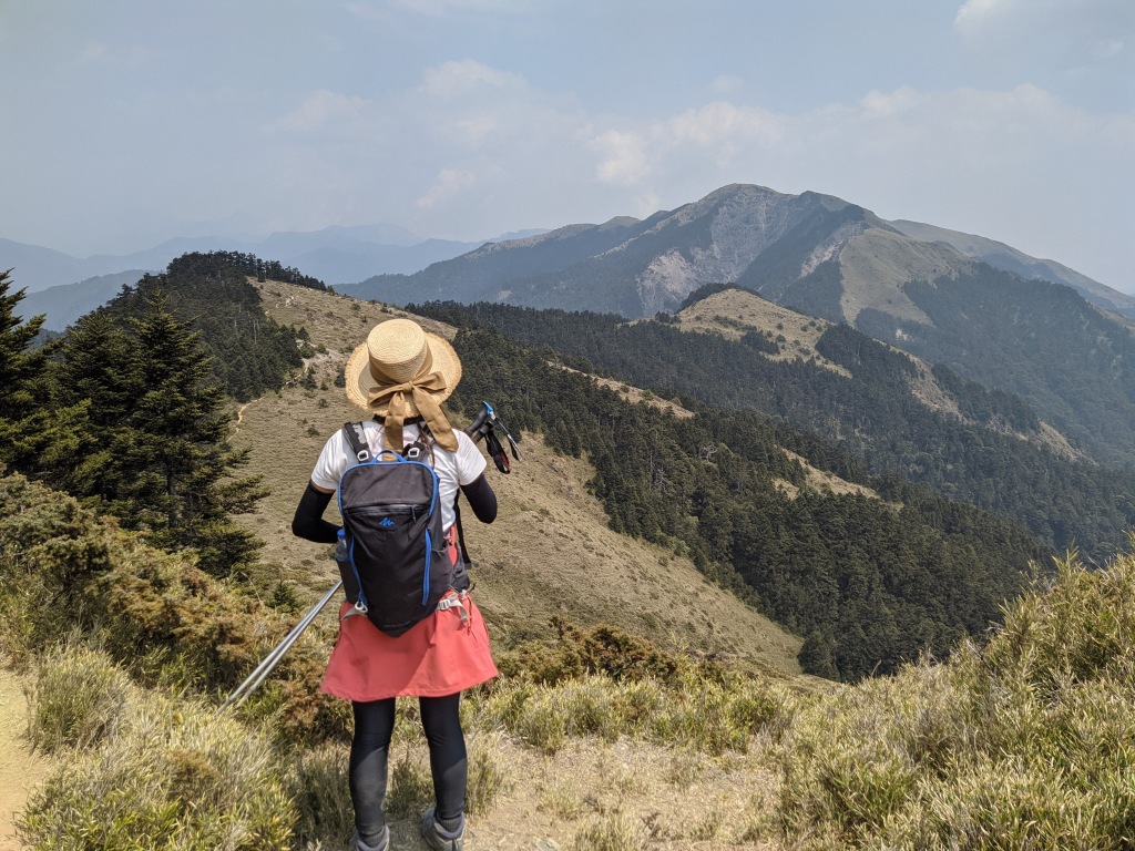 望向合歡山北峰