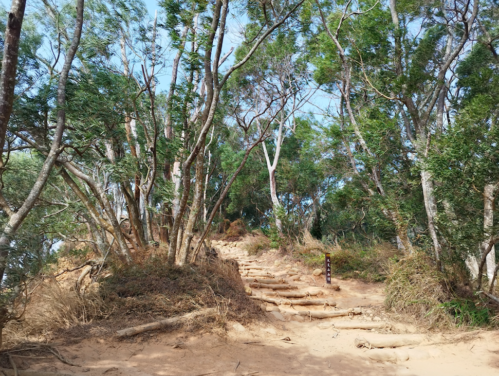 【苗栗火炎山】臺灣版大峽谷&一望無際的絕景步道 - 台灣呼瑪