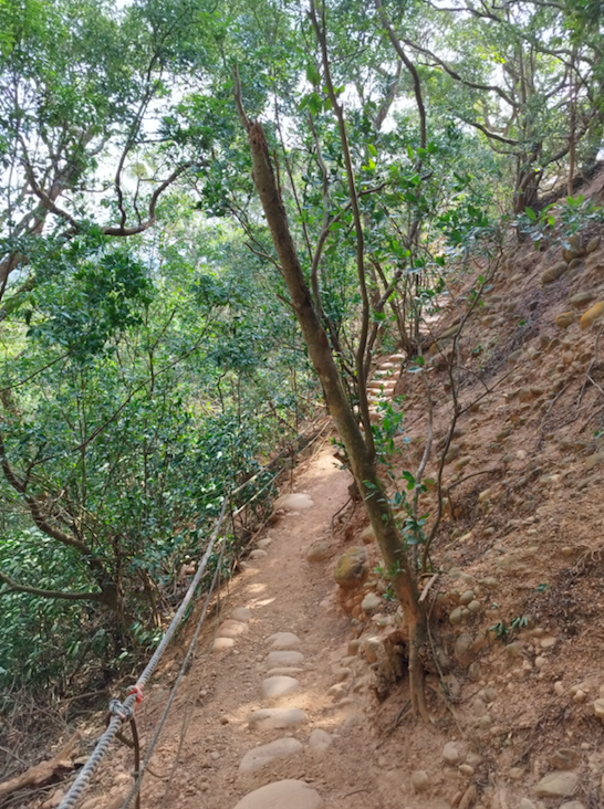【苗栗火炎山】臺灣版大峽谷&一望無際的絕景步道 - 台灣呼瑪