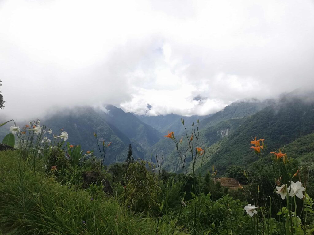 大禮大同禮拜堂風景01